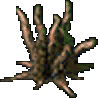 phylax root picture